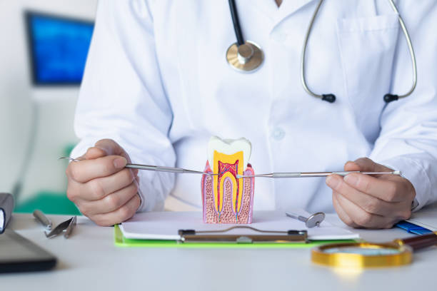 Best Emergency TMJ Treatment in Prescott, WI